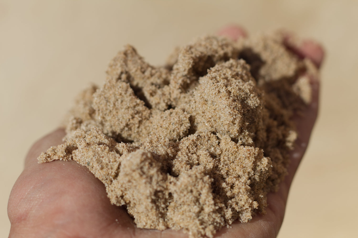 Sands and Soils