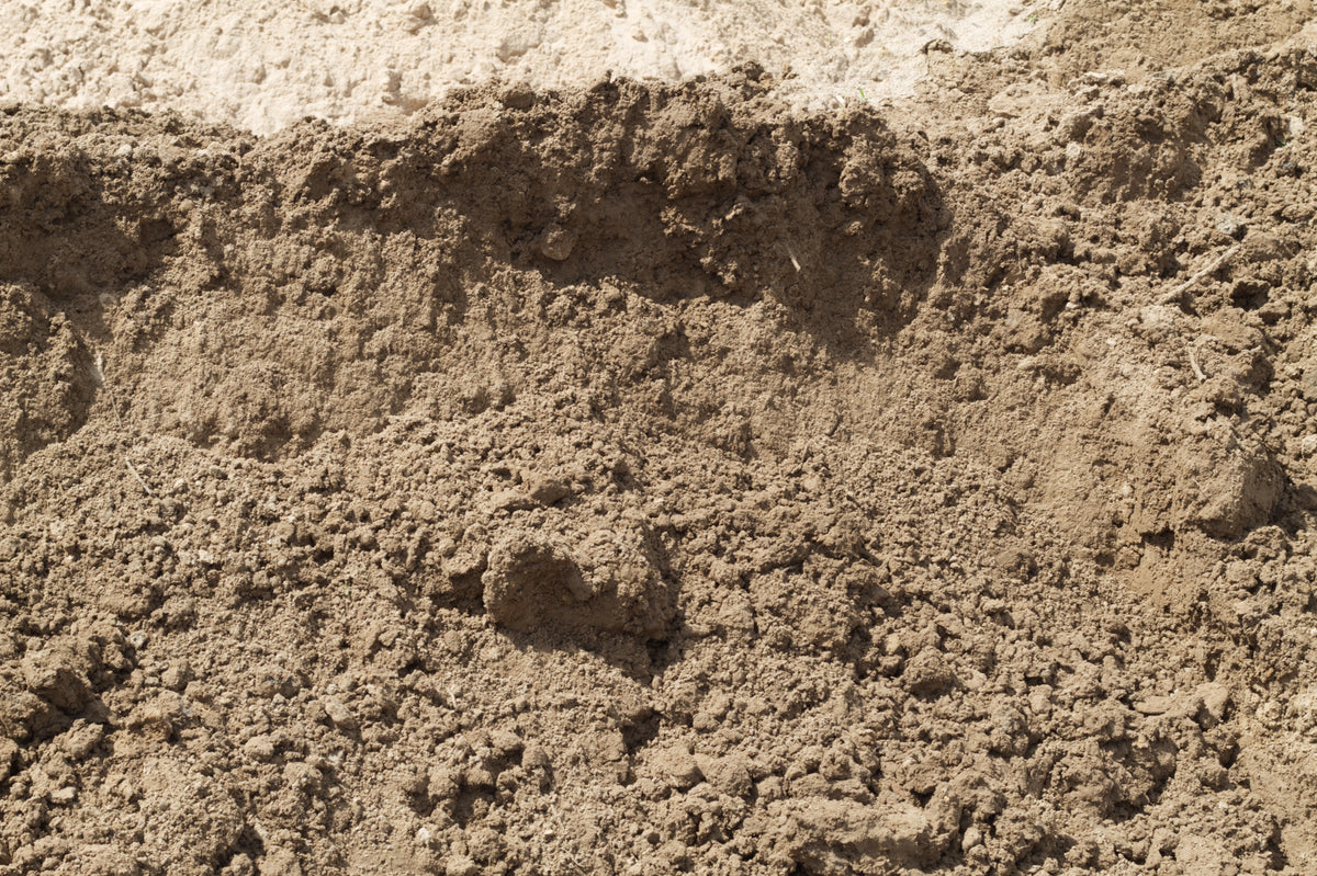 Screened Sandy Loam Topsoil Bulk